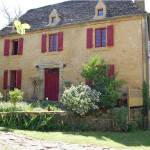 La salamandre