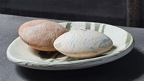 Salle d'eau Chambre The Forest