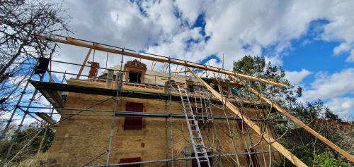 Les 2 chiens assis sont couverts