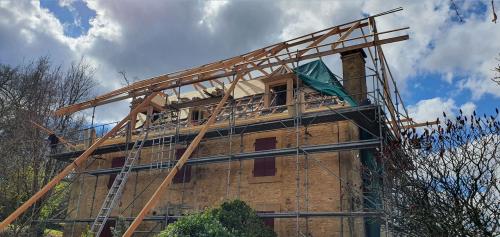 Les chiens assis en chêne sont posés, merci Greg !