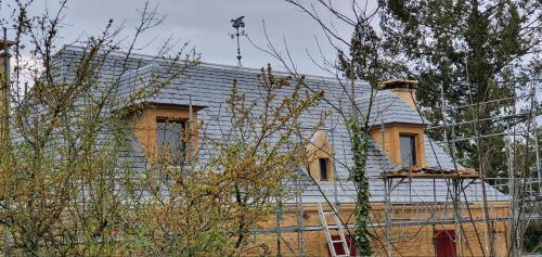 Rosaces sur le zinc de la gouttière